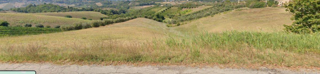 Terreno agricolo in vendita a Monsampolo Del Tronto (AP)