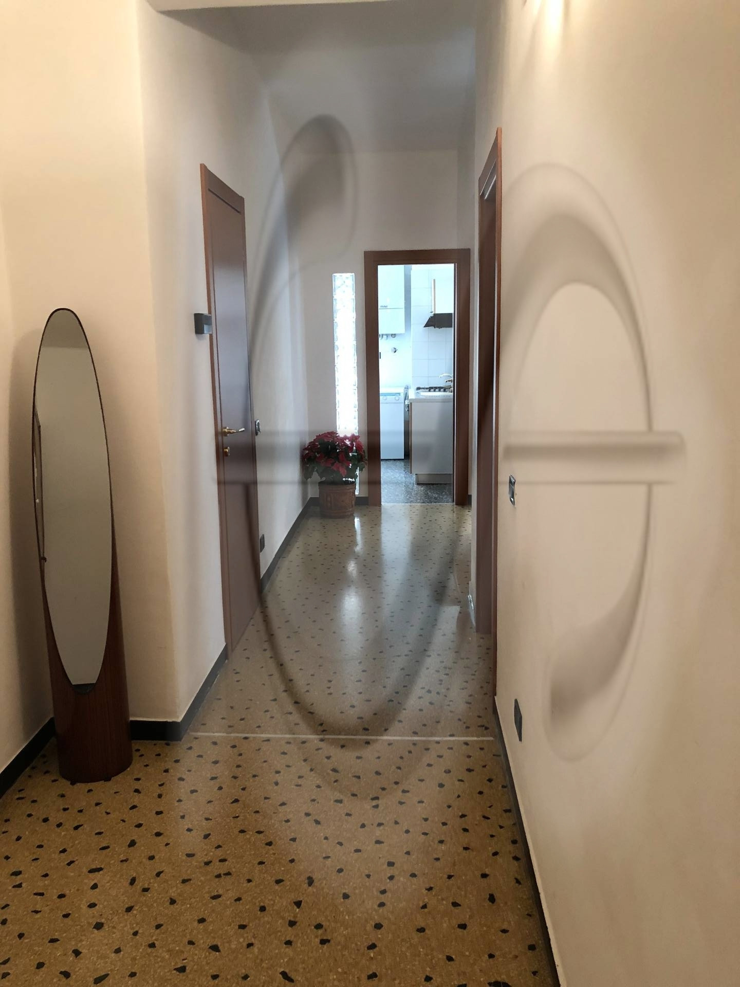 Appartamento ALASSIO vendita  Ponente  Servizi Immobiliari srl