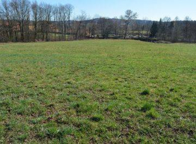 Terreno Agricolo in Vendita a Gorla Maggiore