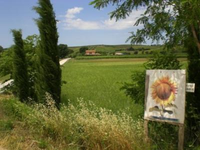 Farm for sale in Scansano
