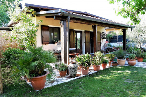 Small villa for Holiday rent to Forte dei Marmi
