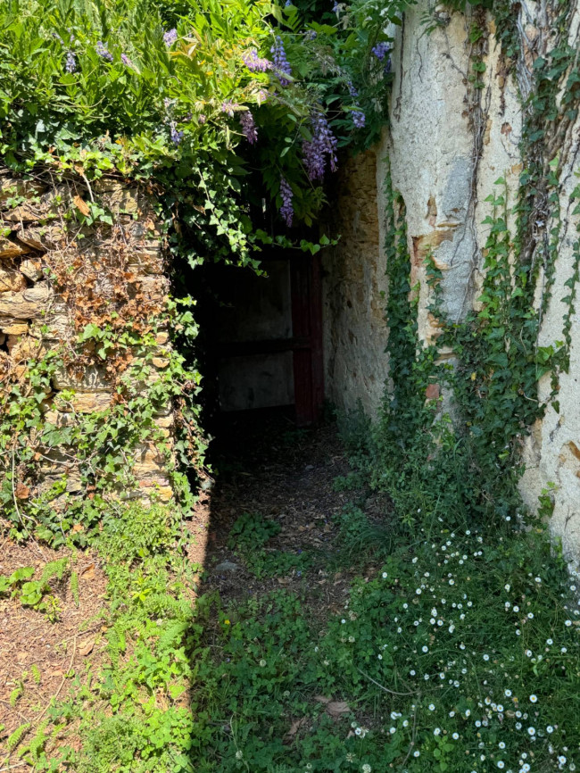 Rustico in vendita a Pietrasanta