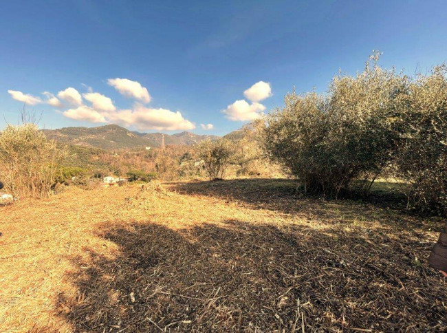 Rustic for sale in Camaiore