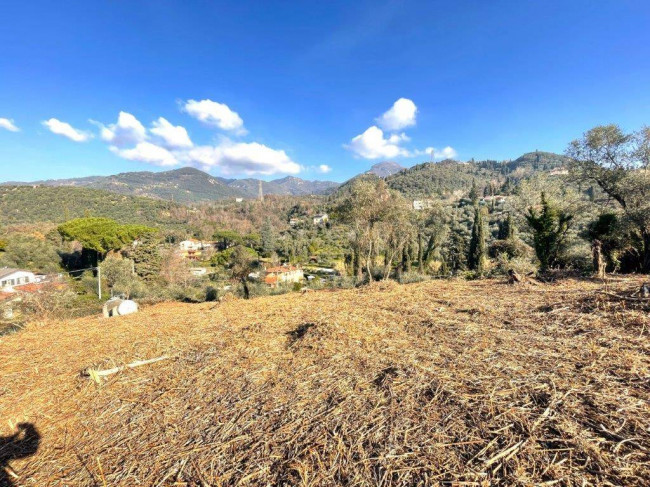 Rustic for sale in Camaiore
