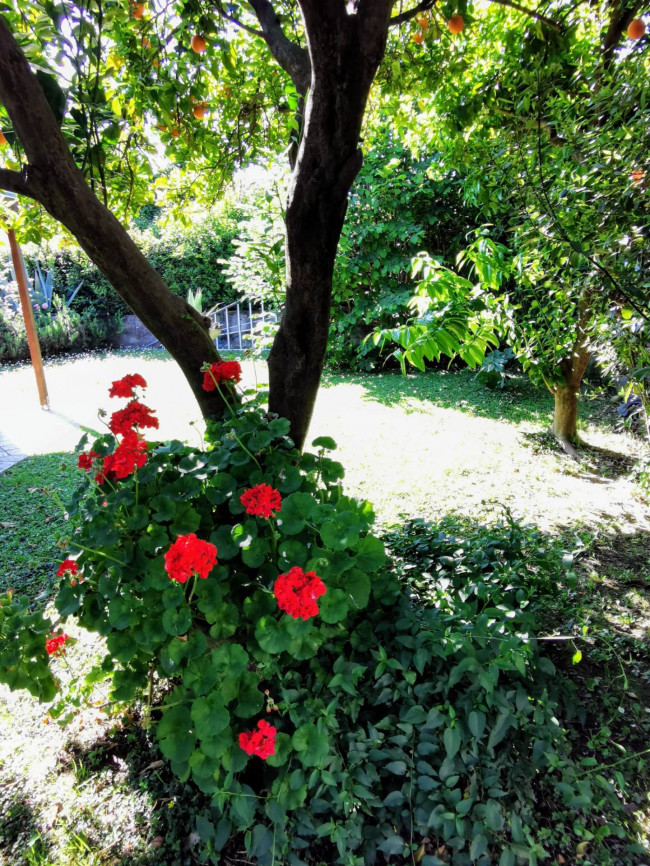 Semi-detached house for sale in Montignoso