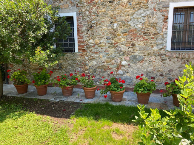 Rustico in vendita a Pietrasanta