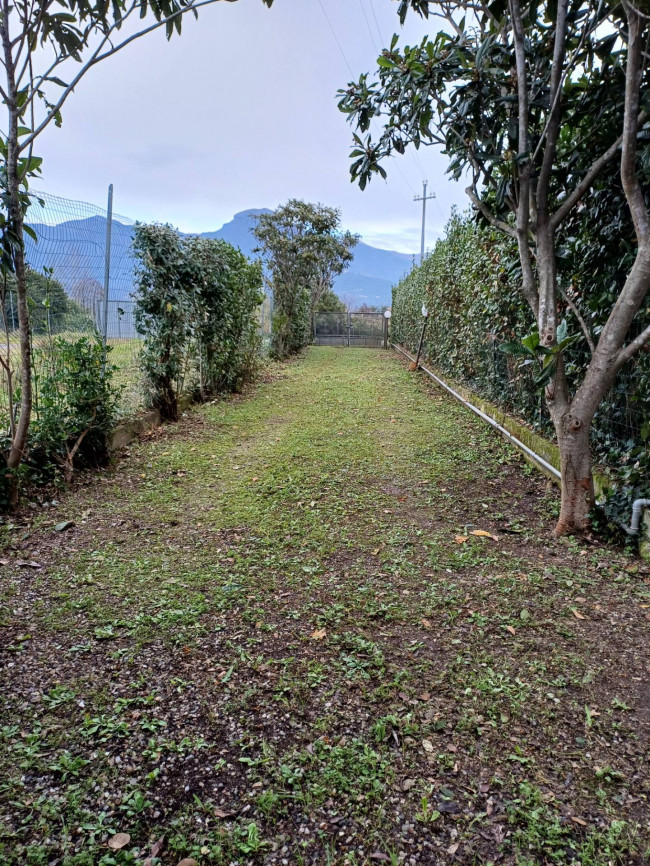 Villa bifamiliare (singola unita') in vendita a Camaiore