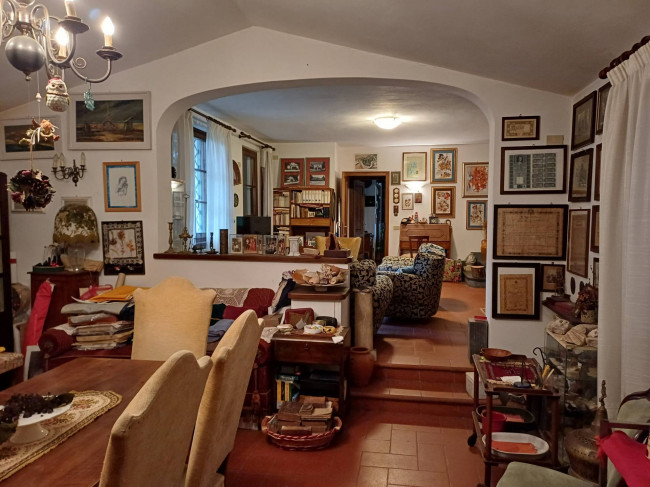 Villa bifamiliare (singola unita') in vendita a Camaiore