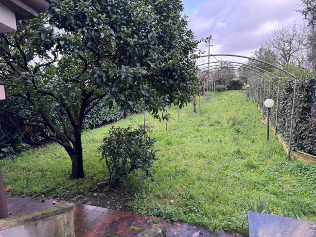 Villa bifamiliare (singola unita') in vendita a Camaiore