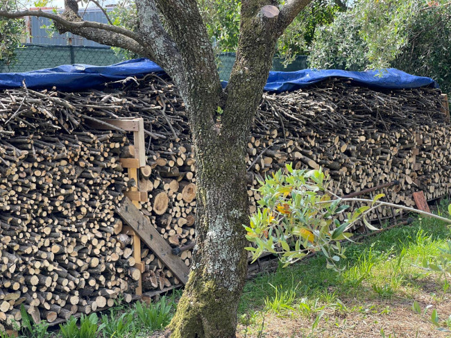 Rustico in vendita a Seravezza