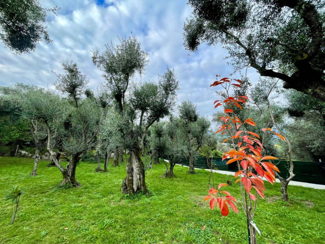 Rustico in vendita a Seravezza