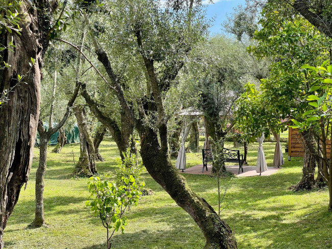 Rustico in vendita a Seravezza