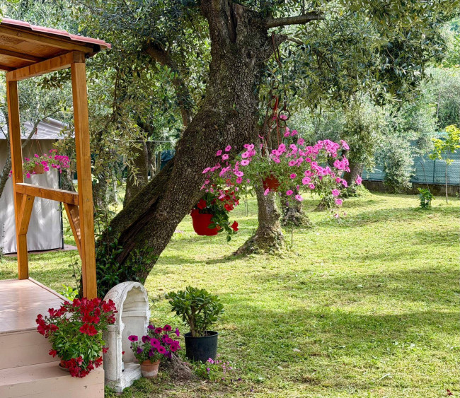 Rustico in vendita a Seravezza