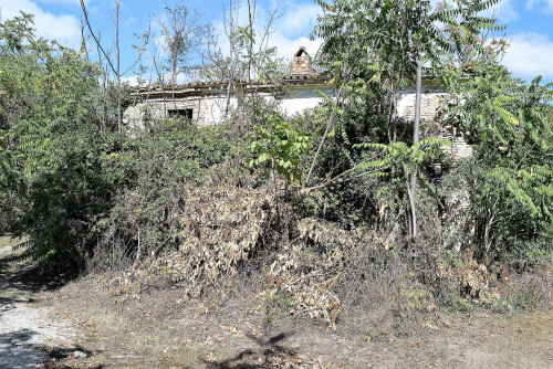 Rustico in Vendita