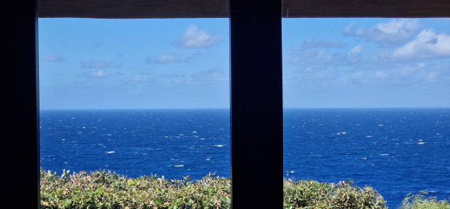 Villette a Schiera con piscina in vendita a Trinità d'Agultu e Vignola