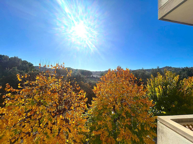 Appartamento in vendita a Teramo