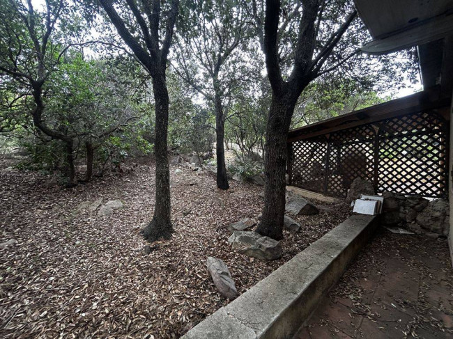 Villette a schiera in vendita a Trinità d'Agultu e Vignola