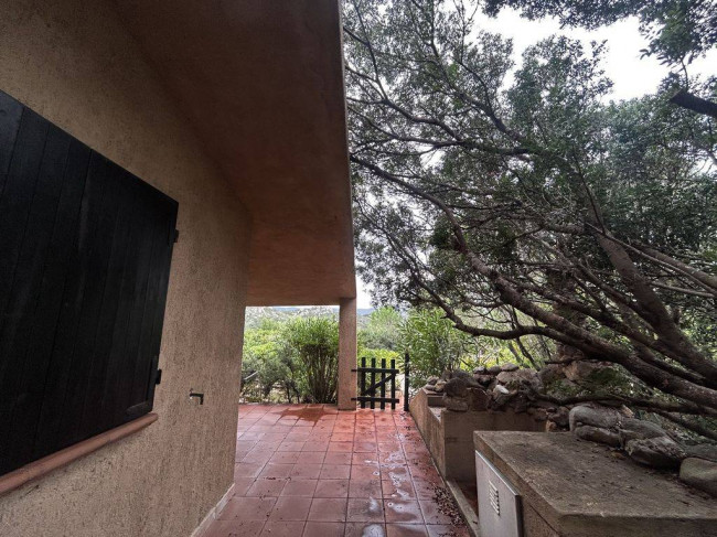 Villette a schiera in vendita a Trinità d'Agultu e Vignola