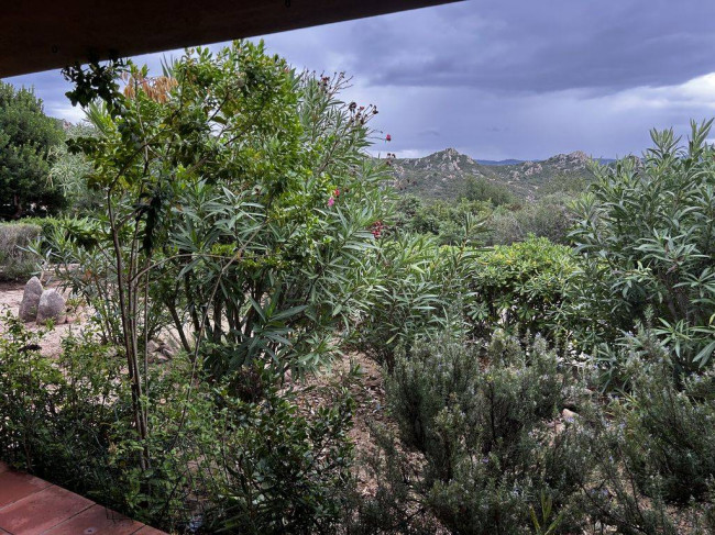 Villette a schiera in vendita a Trinità d'Agultu e Vignola