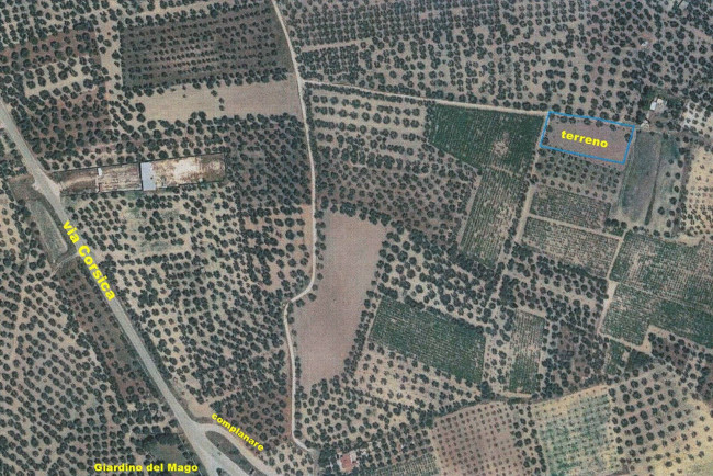 Terreno Agricolo in Vendita a Canosa di Puglia