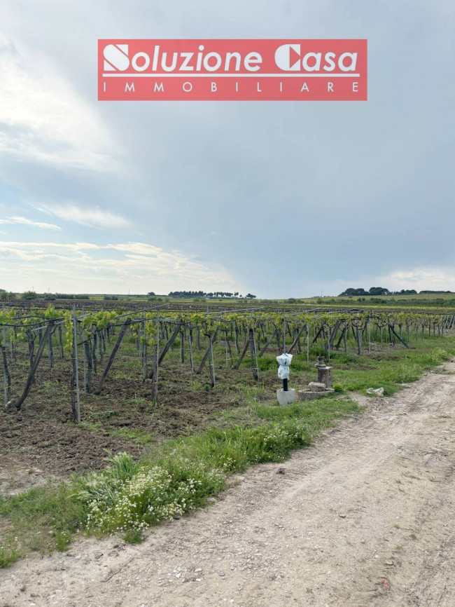 Terreno Agricolo in Vendita a Cerignola