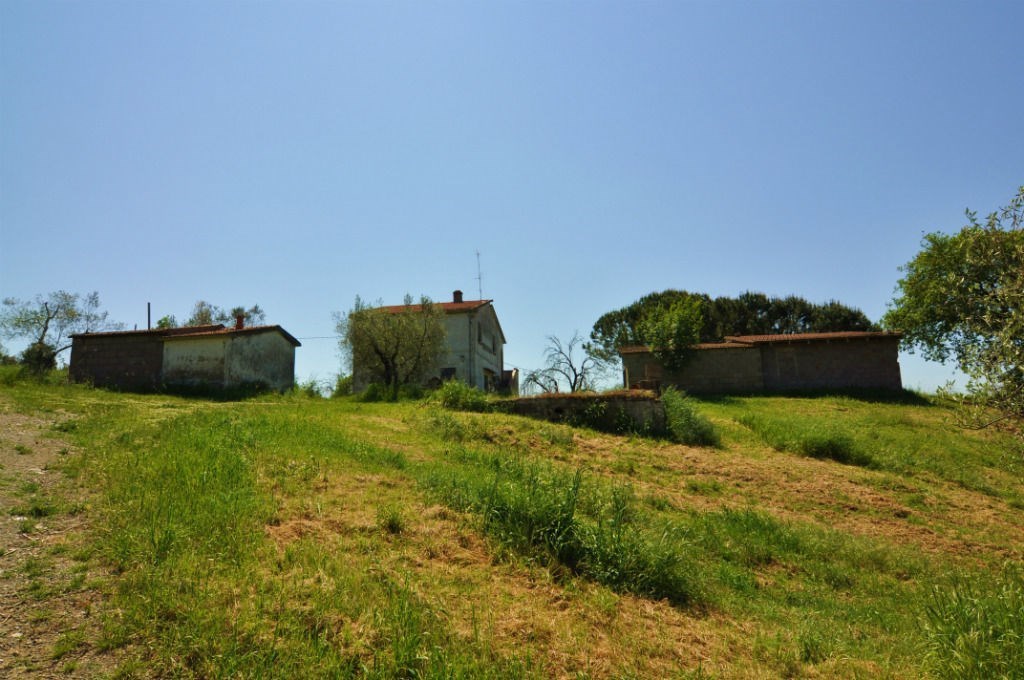 Rustico - Cascina MONTECATINI VAL DI CECINA vendita    Spazio Casa Cecina