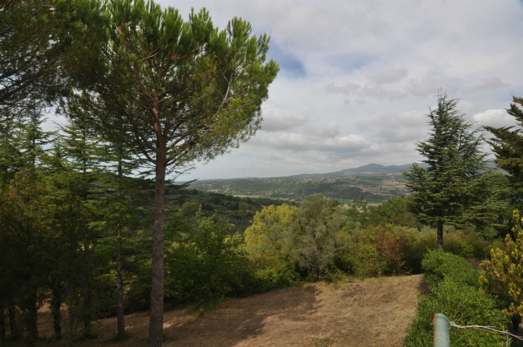  montescudaio vendita quart:  spazio casa cecina