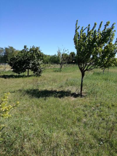 Terreno Agricolo in Vendita a Nerviano
