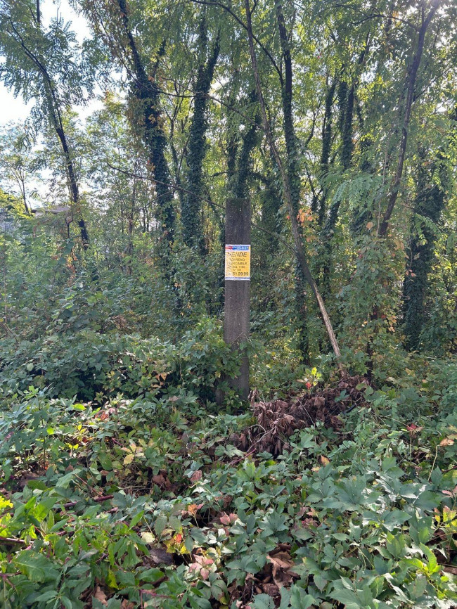 Terreno edificabile in vendita a Borsano, Busto Arsizio (VA)