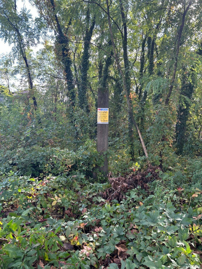 Terreno edificabile in vendita a Borsano, Busto Arsizio (VA)