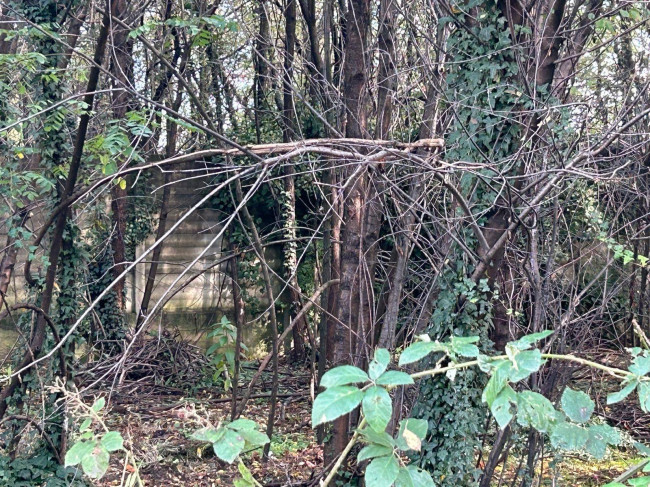 Terreno edificabile in vendita a Borsano, Busto Arsizio (VA)