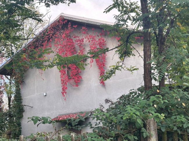 Terreno edificabile in vendita a Borsano, Busto Arsizio (VA)