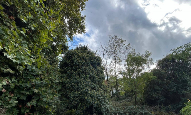 Terreno edificabile in vendita a Borsano, Busto Arsizio (VA)