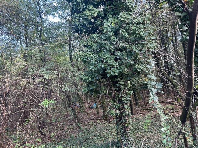 Terreno edificabile in vendita a Borsano, Busto Arsizio (VA)