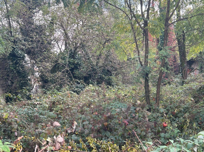 Terreno edificabile in vendita a Borsano, Busto Arsizio (VA)