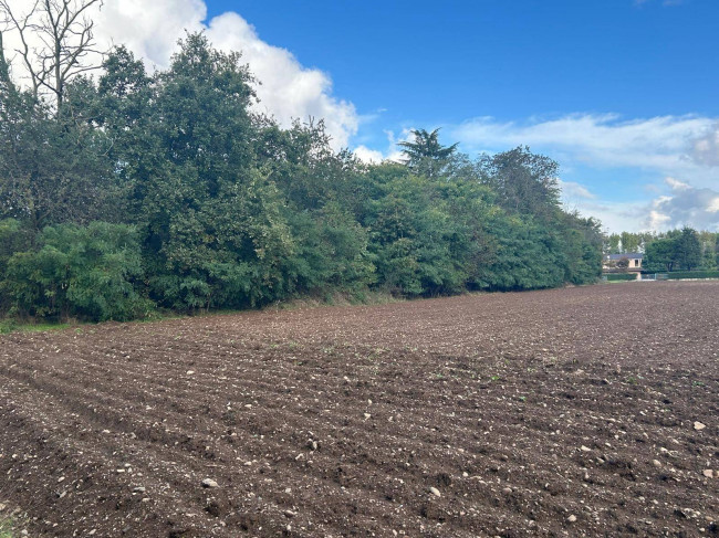 Terreno edificabile in vendita a Borsano, Busto Arsizio (VA)