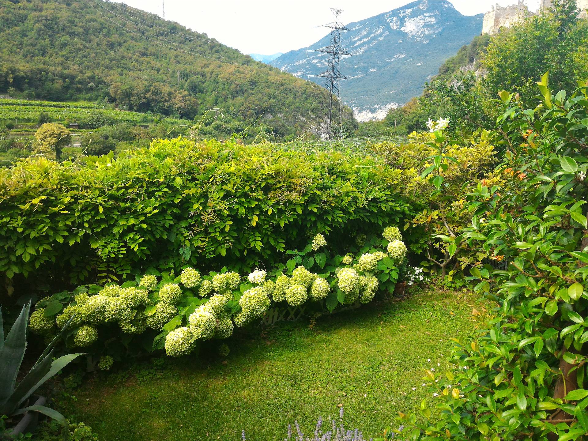 Villa DRENA vendita    Ma.Vi. Mediazioni S.r.l.