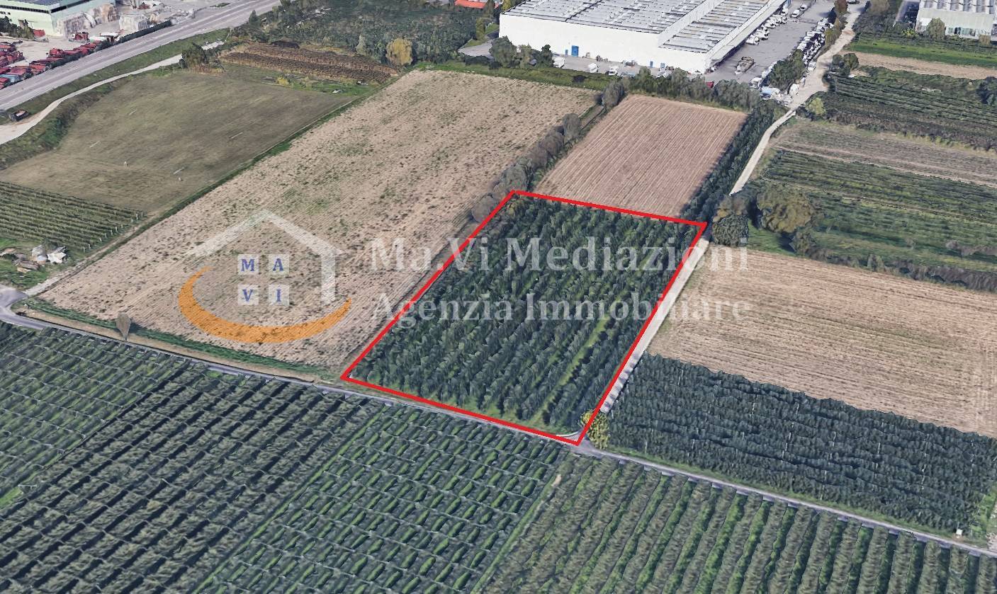Terreno Agricolo  a Riva del Garda
