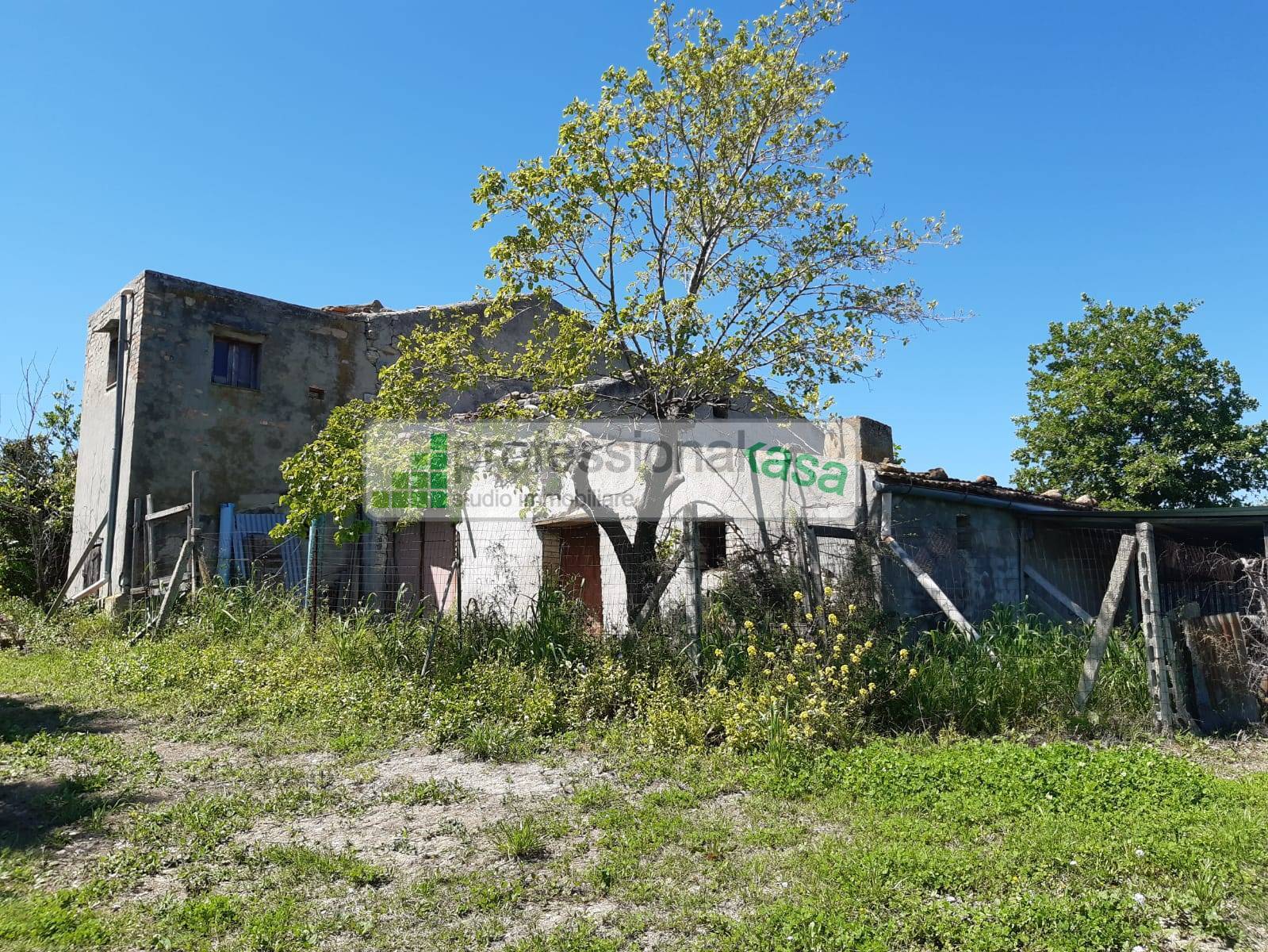 Casa con terreno in Vendita - Montenero di Bisaccia Campobasso Zona residenziale