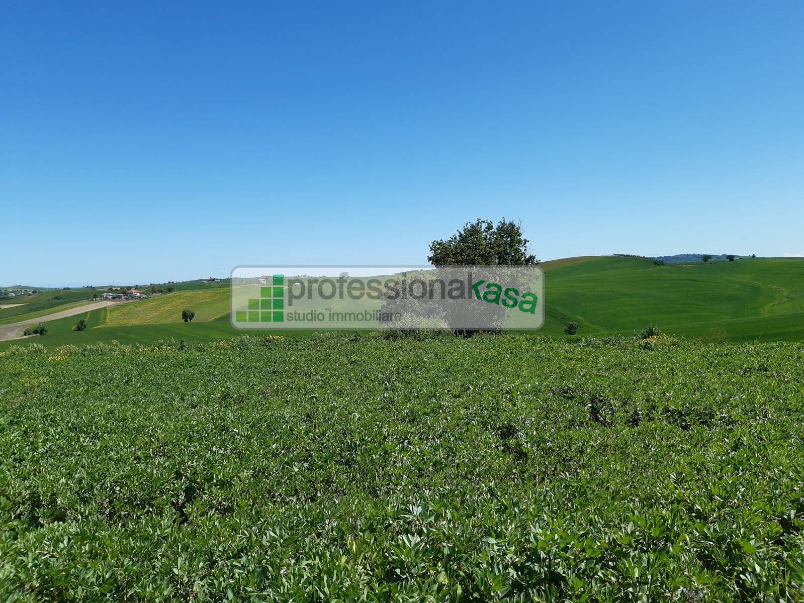 Casa con terreno in Vendita - Montenero di Bisaccia Campobasso Zona residenziale