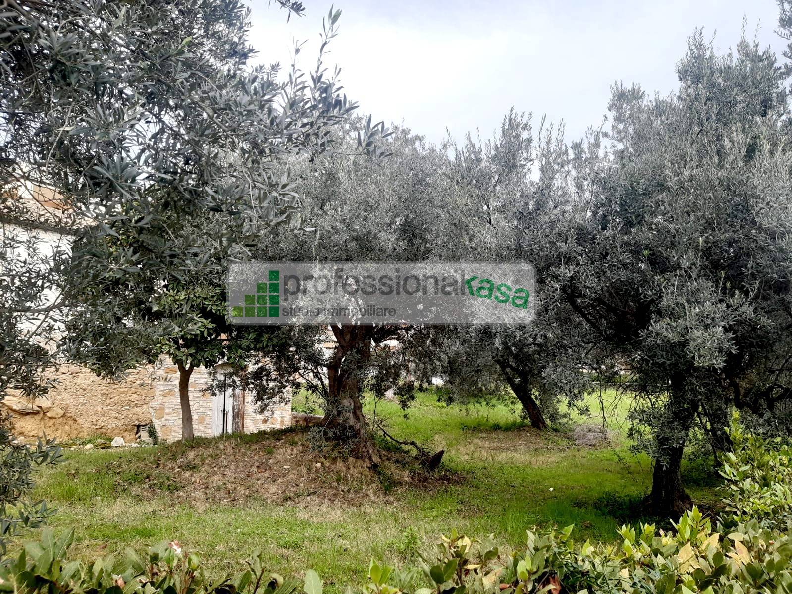 Casa singola in Vendita - Vasto Chieti Turistica