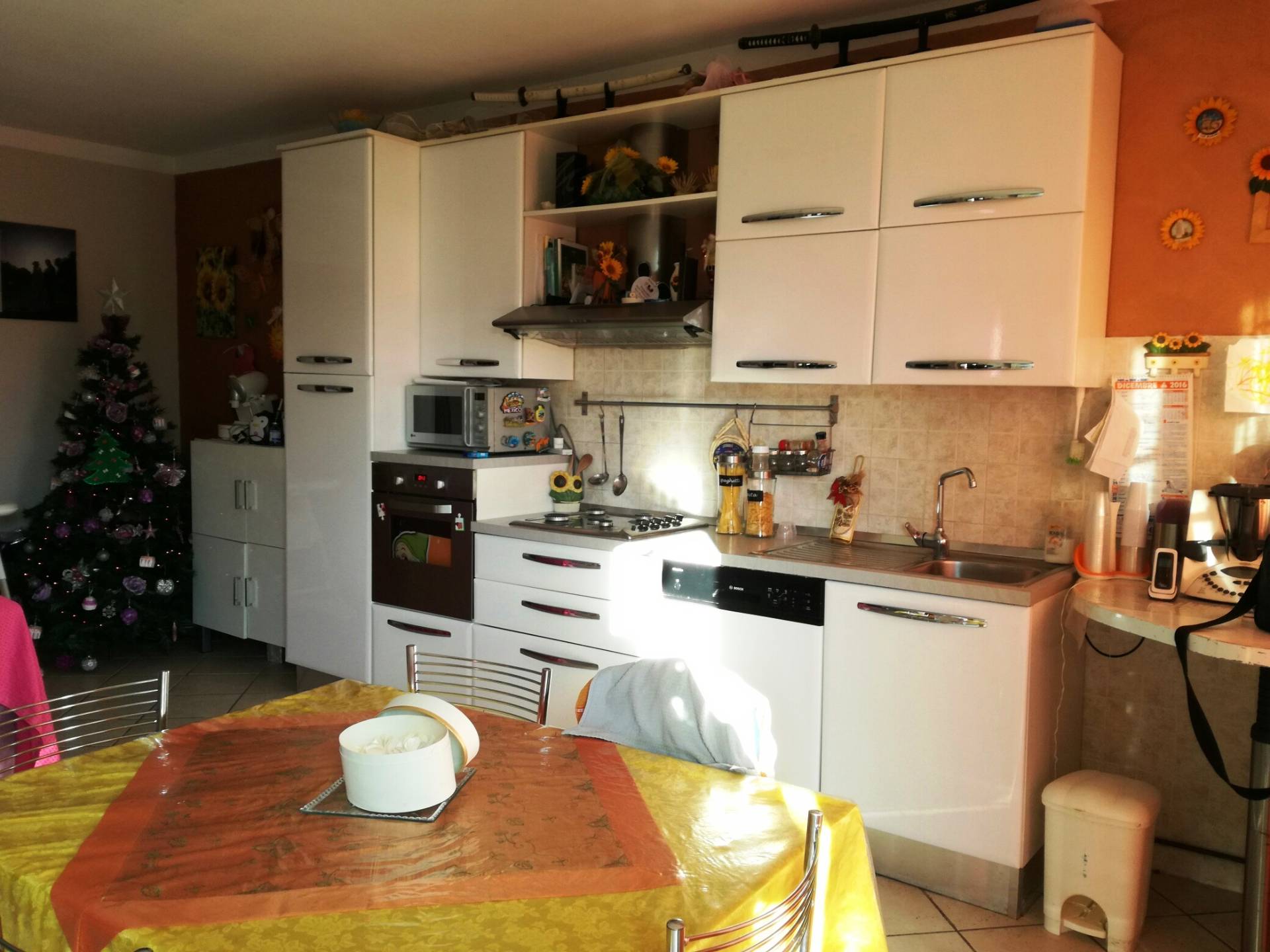 Villa Bifamiliare CASCIANA TERME LARI vendita    Megaron Immobiliare - Pisa - Pontedera - Livorno - Lucca