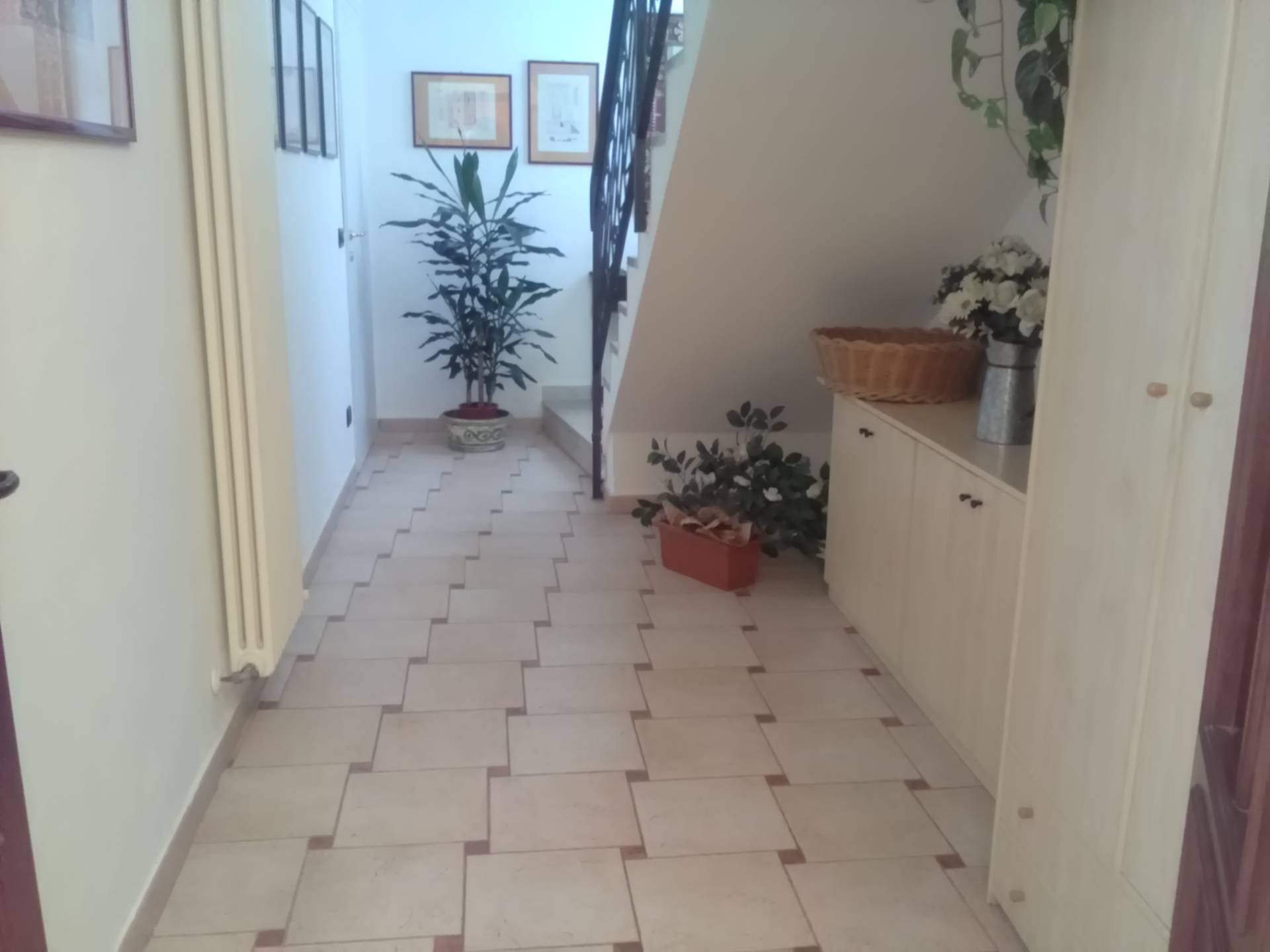  cascina vendita quart: marciana megaron immobiliare - pisa - pontedera - livorno - lucca