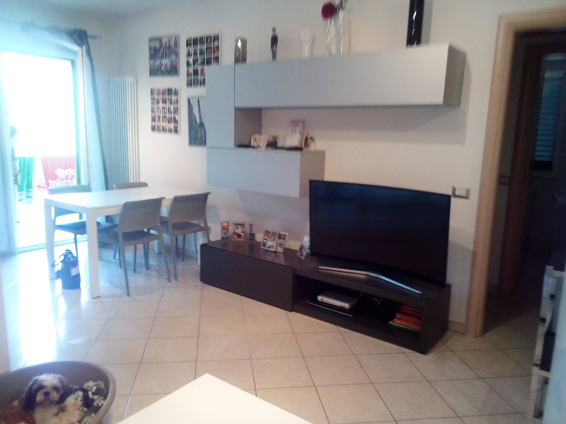 Appartamento COLLESALVETTI vendita  Collesalvetti  Megaron Immobiliare - Pisa - Pontedera - Livorno - Lucca