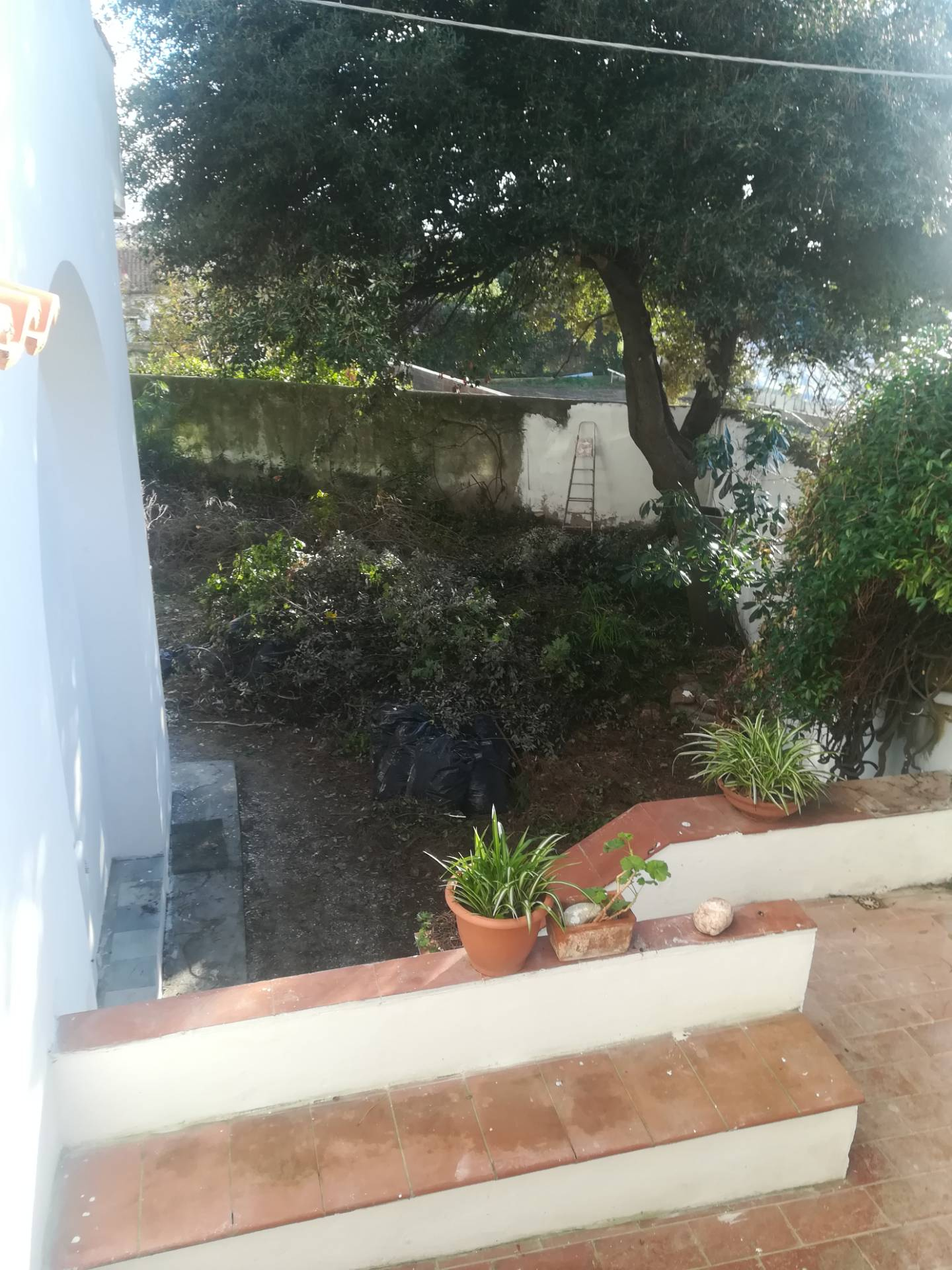 Appartamento LIVORNO vendita  Ardenza Mare  Megaron Immobiliare - Pisa - Pontedera - Livorno - Lucca