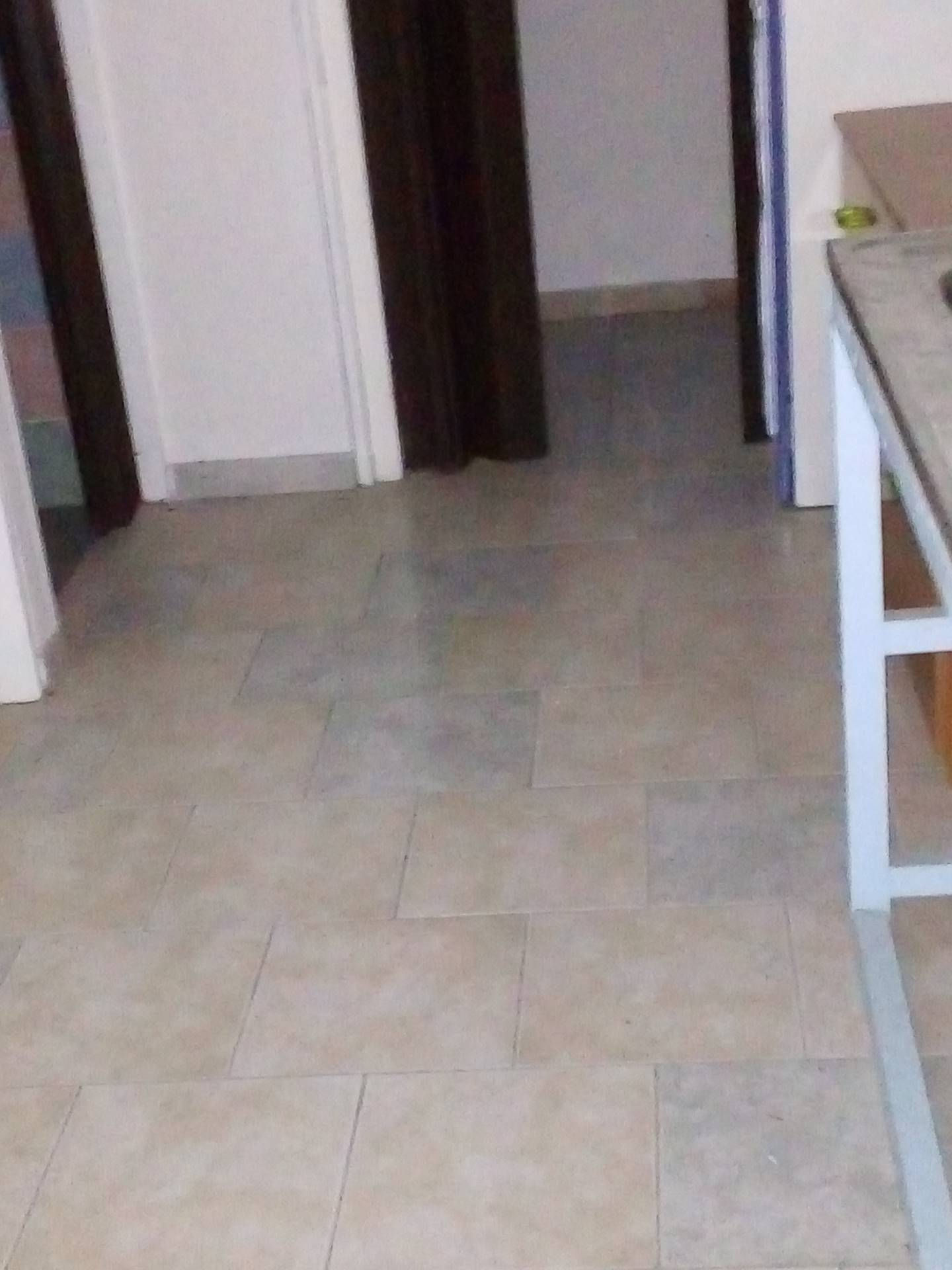 Capannone Commerciale LIVORNO vendita  Coteto  Megaron Immobiliare - Pisa - Pontedera - Livorno - Lucca