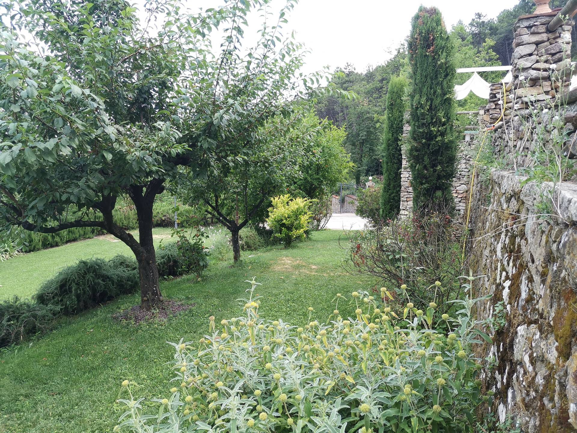 Villa BUTI vendita    Megaron Immobiliare - Pisa - Pontedera - Livorno - Lucca