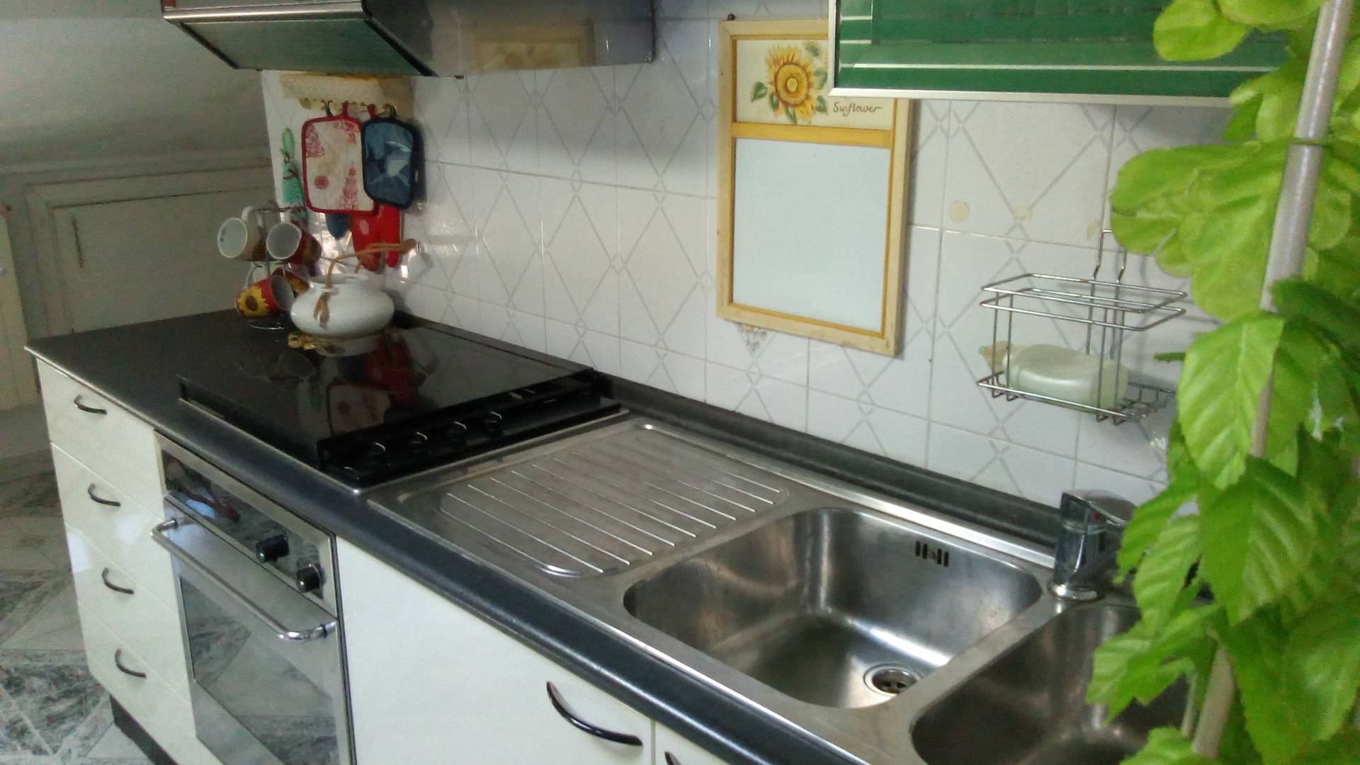 Appartamento LIVORNO vendita  Centro  Megaron Immobiliare - Pisa - Pontedera - Livorno - Lucca