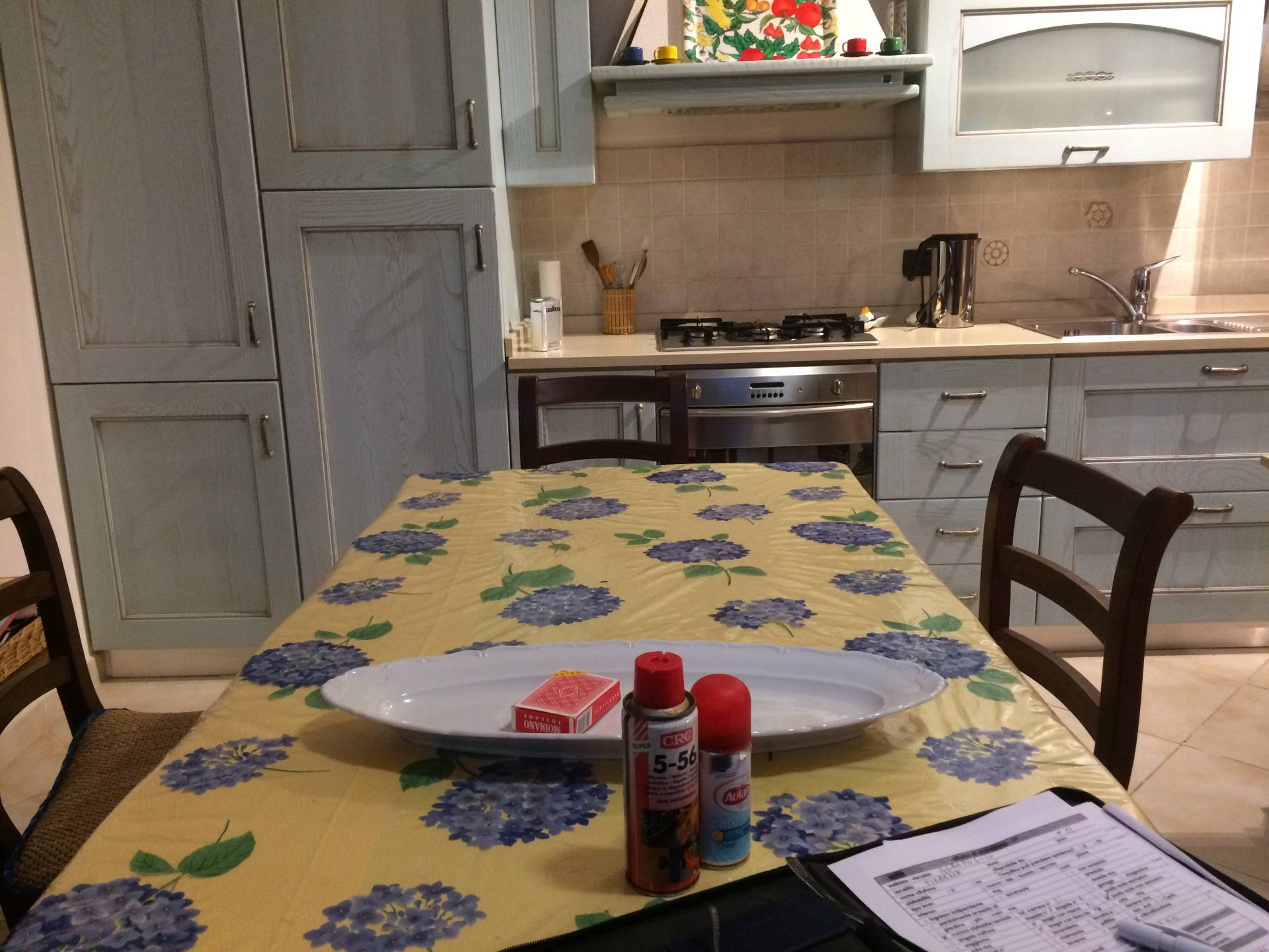 Villa Unifamiliare - Indipendente PISA vendita  Tirrenia  Megaron Immobiliare - Pisa - Pontedera - Livorno - Lucca