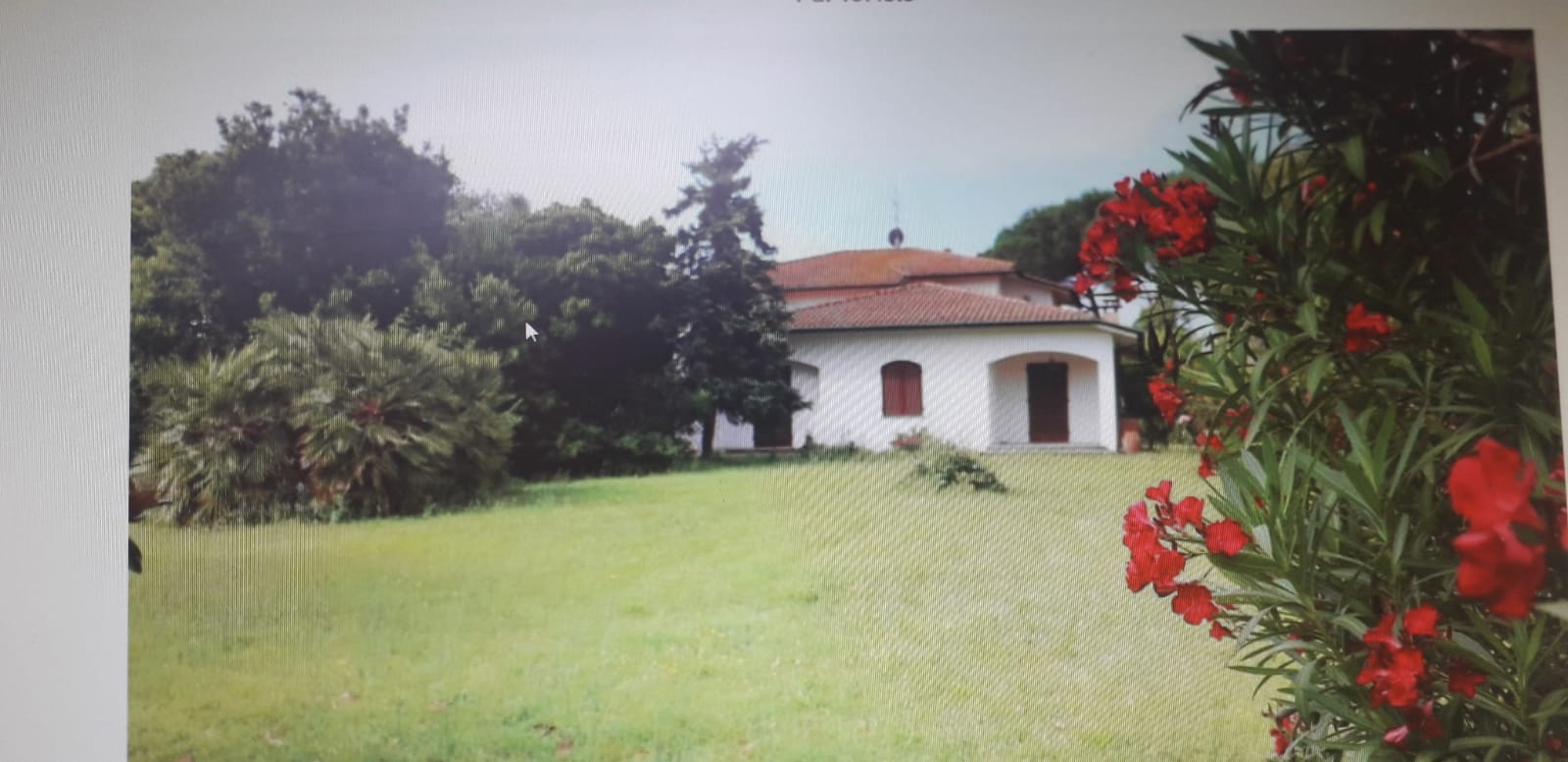 Villa Unifamiliare - Indipendente CASCINA vendita    Megaron Immobiliare - Pisa - Pontedera - Livorno - Lucca